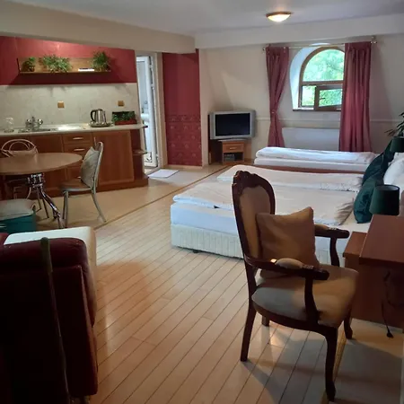 Rio Hotel 3*